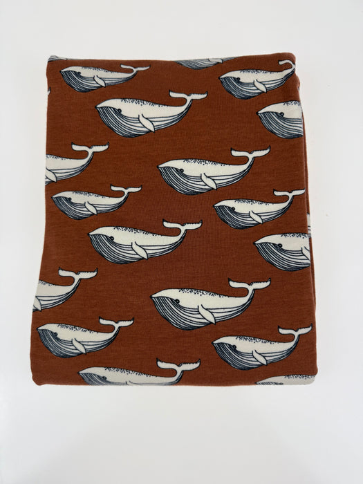 WAL ROSTIGES COLLEGE