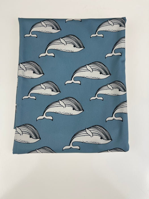 LYCRA-WHALE-BLUE
