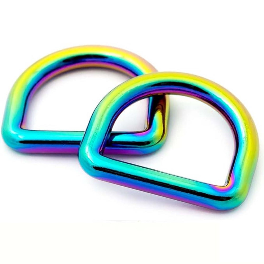 2 ST D-RING - 25 mm / 1 in REGENBOGEN