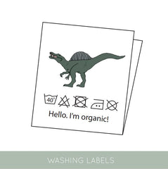 DINO LAPP GRÜN 5 ST/PKT