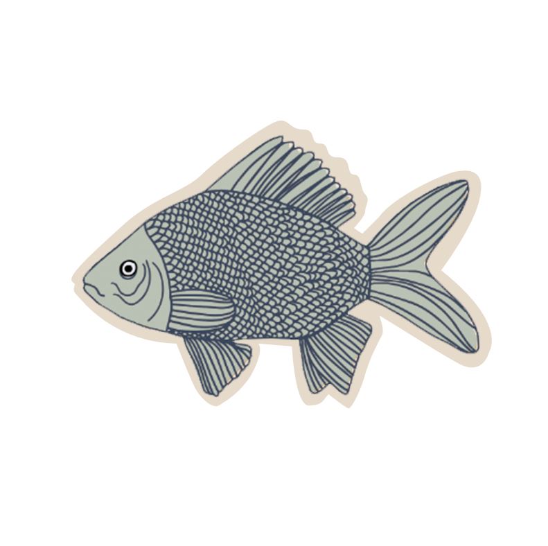 ANWENDUNG - FISCHTEICH