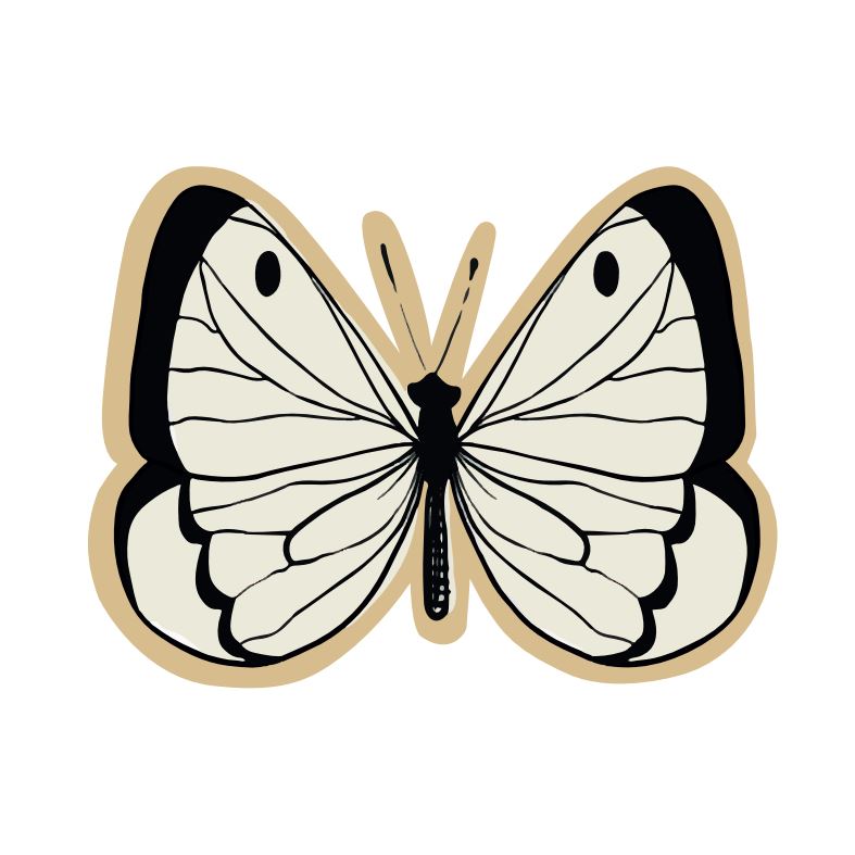 ANWENDUNG - SCHMETTERLING