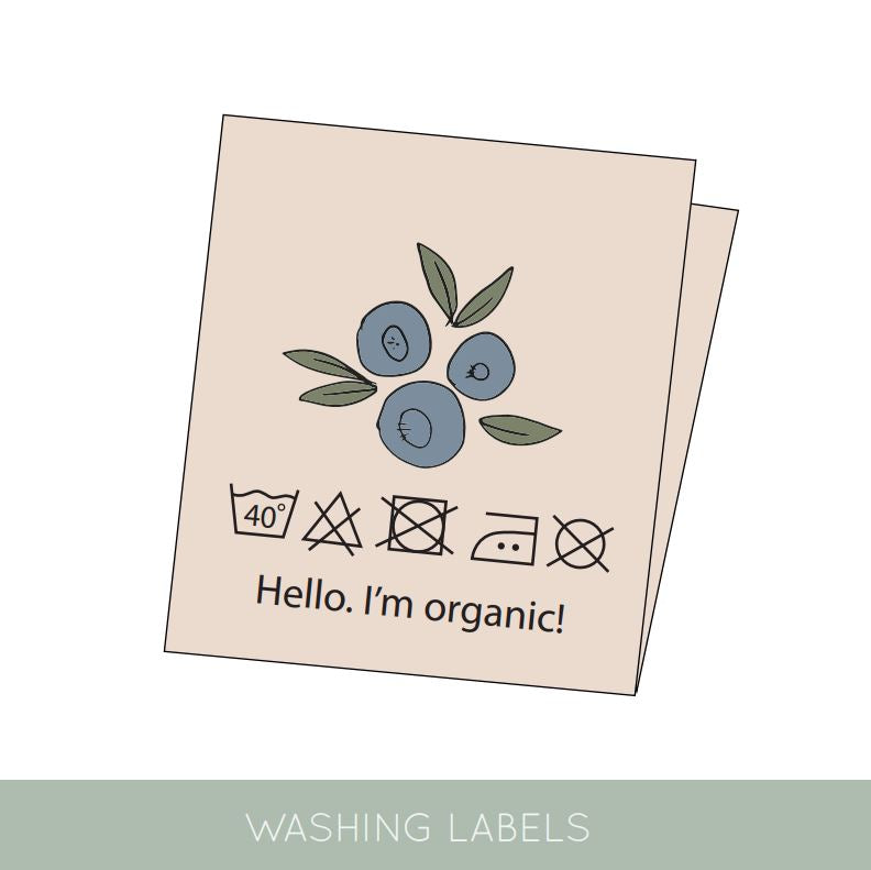 BLUEBERRIES LAPP 5 ST/PKT